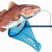Cast N Reel Fishing Charters