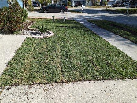 Sod Depot of Tampa Bay, LLC