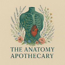 The Anatomy Apothecary LLC Massage + Skincare