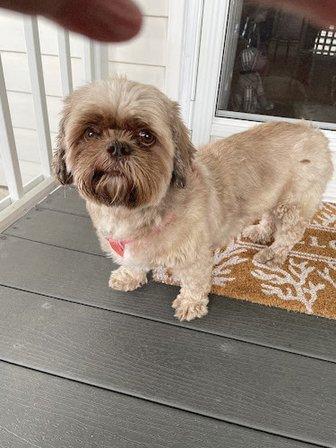 Town & Country Animal Hospital