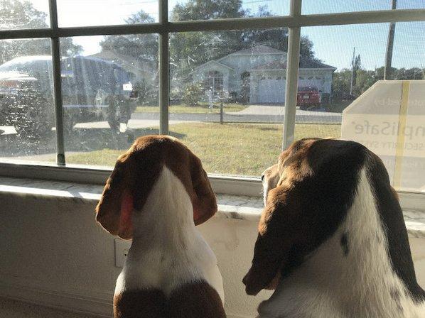 Pasco Animal Hospital