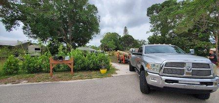 Leone Auto Sales, LLC