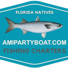 Anna Maria Island Party Boat Fishing Charters