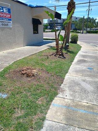 Landscape Irrigation and Tree service LLC