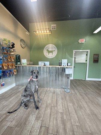 Happy Paws Grooming Sarasota