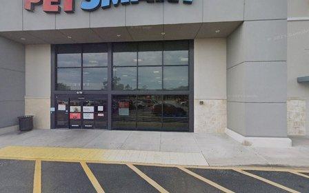 PetSmart Dog Training