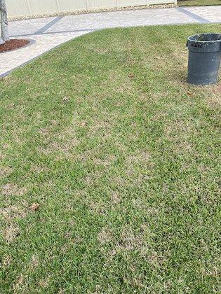 Southern Greens Pest Control