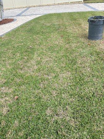 Southern Greens Pest Control