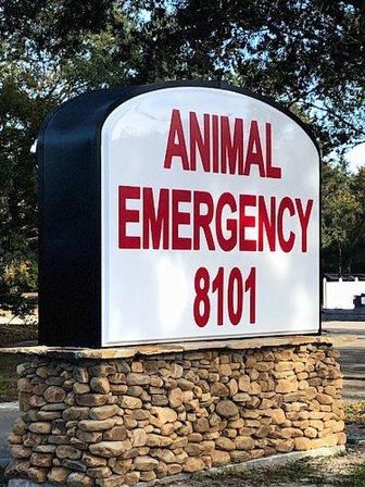 Animal Emergency of Hernando Urgent Care