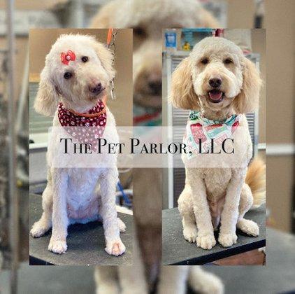 The Pet Parlor, LLC-DBA-Bark N Barn, LLC