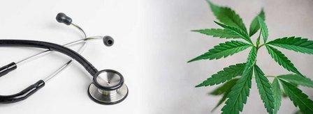 Dr. Cannabis Cards