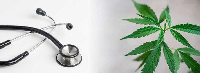 Dr. Cannabis Cards