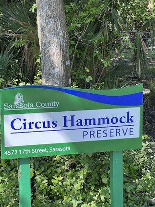 Circus Hammock