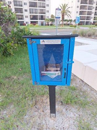 Little Free Library