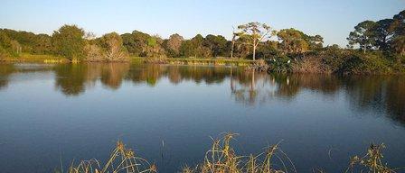 Venice Area Audubon Society
