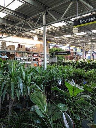 Garden Center at The Home Depot