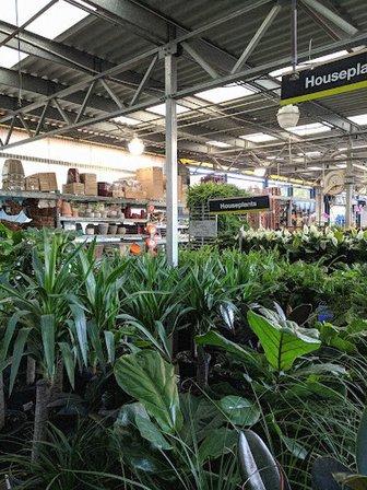 Garden Center at The Home Depot