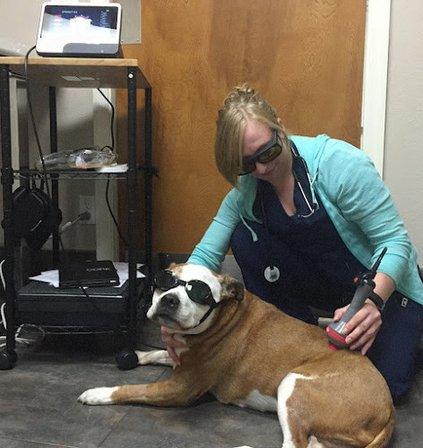 Groves Veterinary Clinic