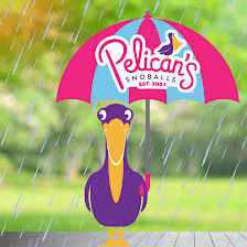 Pelican's SnoBalls of Bradenton