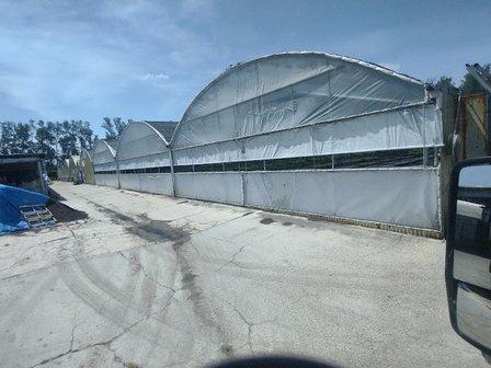 Manatee Fruit Greenhouse