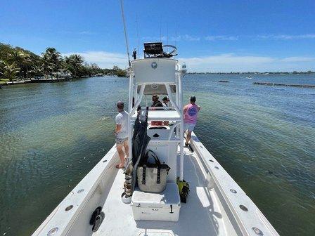 AMI Charters