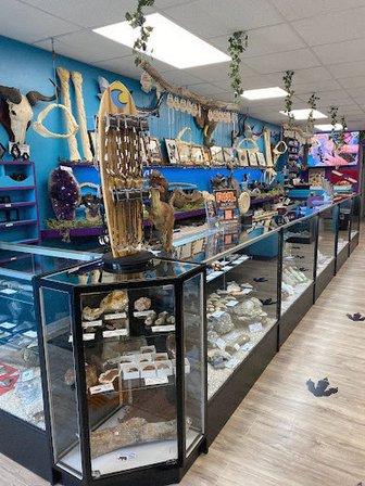 Fossil Frenzy