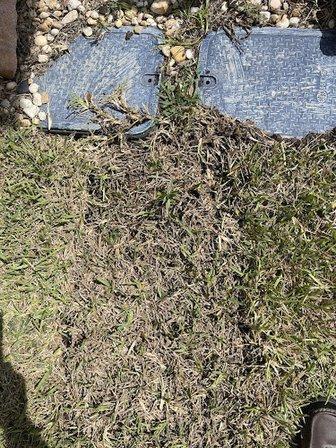 Genesis Landscape Services, Inc