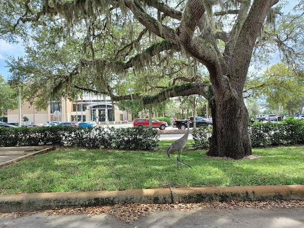 New Port Richey Courthouse