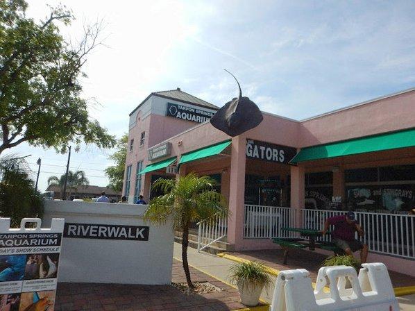 Tarpon Springs Aquarium and Animal Sanctuary