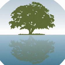 The Oaks on The Lake