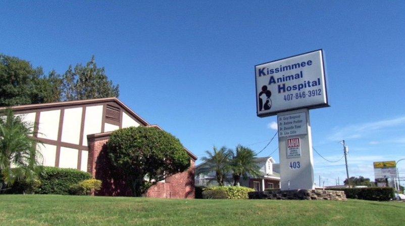 Kissimmee Animal Hospital