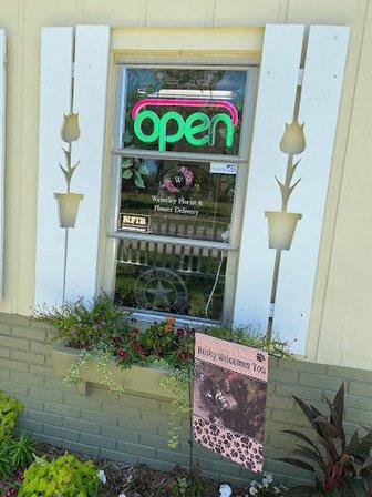 Waverley Florist & Flower Delivery