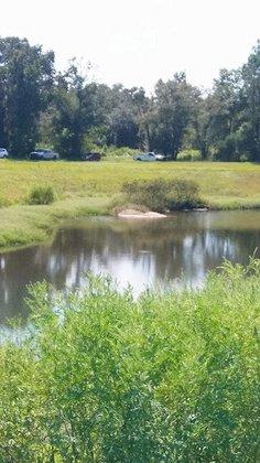 Peck Sink Preserve