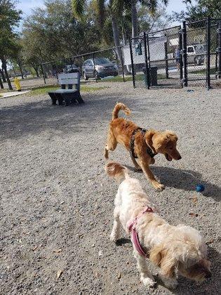 Tarpon Springs Dog Park