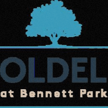 Goldelm at Bennett Park