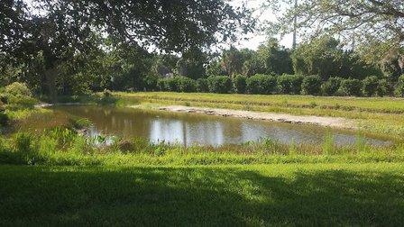 Stoneybrook Golf & Country Clb