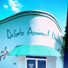 DeSoto Animal Clinic