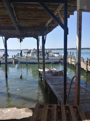 A P Bell Fish Co Inc
