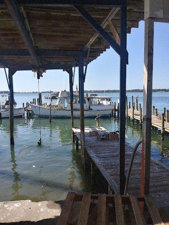 A P Bell Fish Co Inc