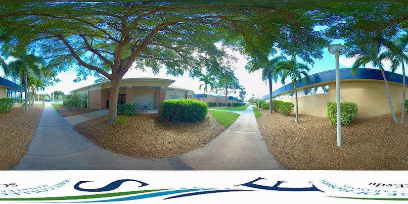 Physical and Occupational Therapy