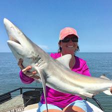 Shark Ventures Fishing Charter