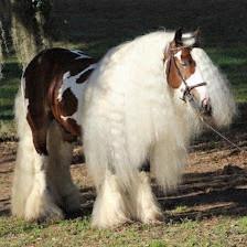 Rock Pointe Ranch