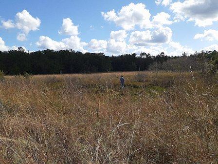 Perry Oldenburg Wildlife and Environmental Area