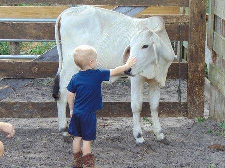 Raney Cattle Sales