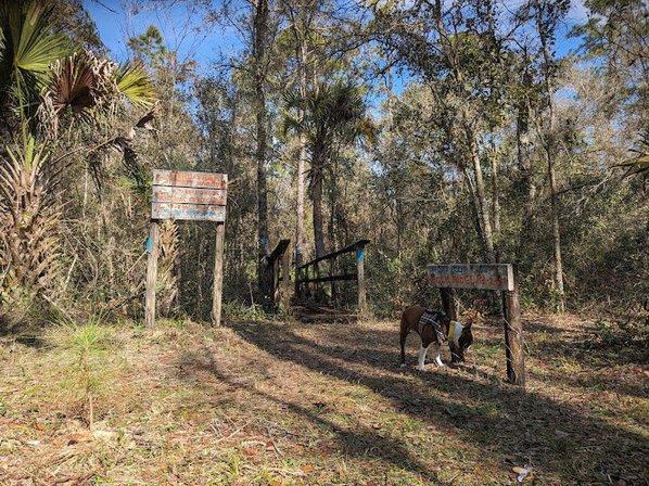 Florida Trail TH - Rock Ridge RD north of Lakeland