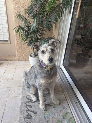 Suncoast Animal Clinic