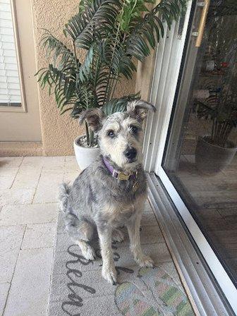 Suncoast Animal Clinic