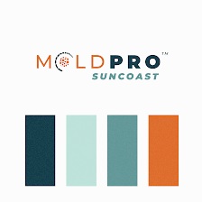 MOLDPRO™ of the Suncoast
