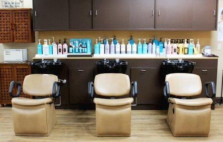 Shear Paradise Salon