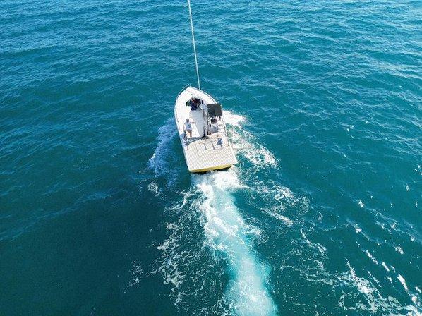 Venice Parasailing